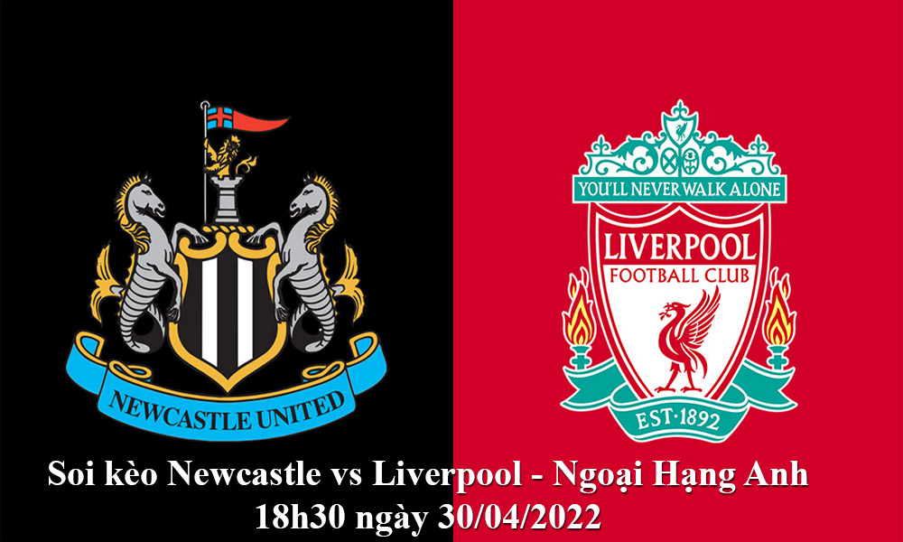 Soi kèo Newcastle vs Liverpool - Ngoại Hạng Anh 18h30 ngày 30/04