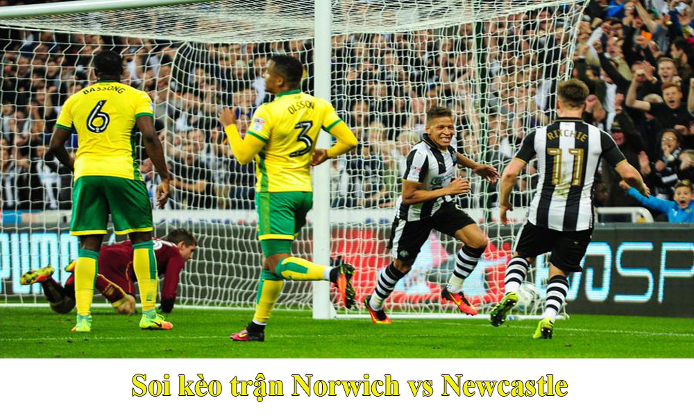 Nhận định trận Norwich vs Newcastle