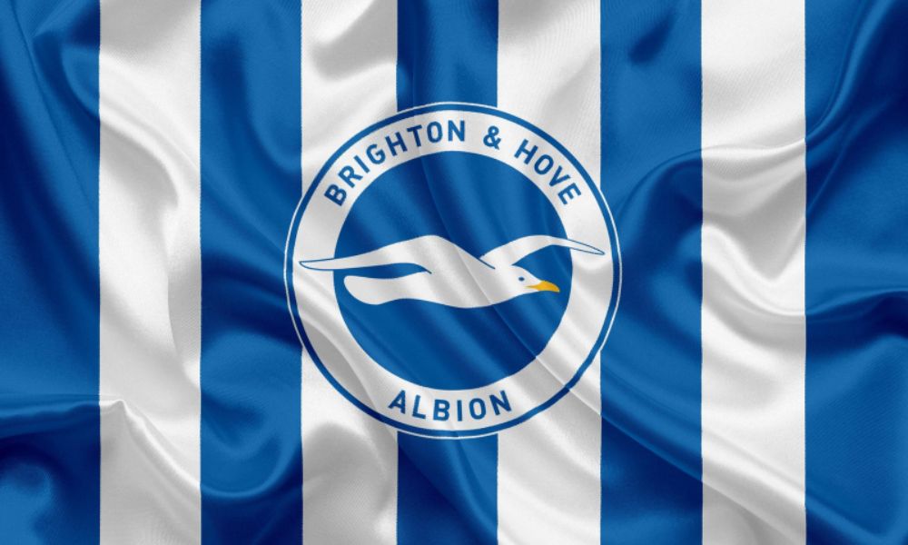Giới thiệu về câu lạc bộ Brighton & Hove Albion